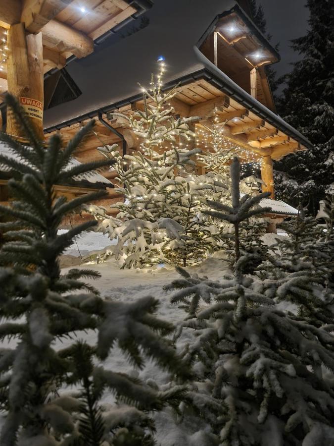 Domy Z Bali Zakopane Ngoại thất bức ảnh